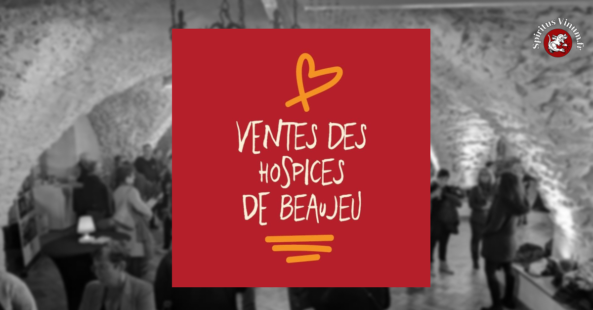 Les vins des Hospices de Beaujeu aux enchères le 5 décembre