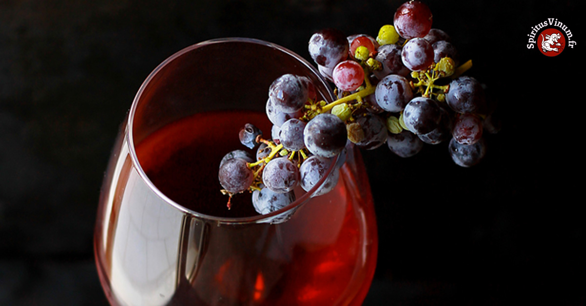 Pourquoi le vin rouge est-il ... rouge ?