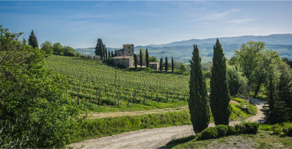 Vignoble de Chianti - Photo ©Matteo Lotti