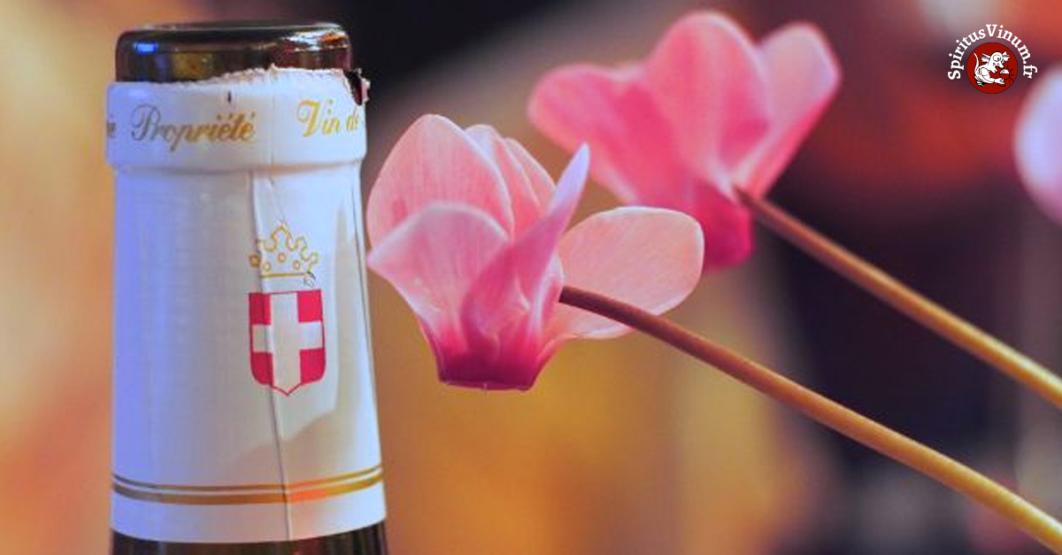 Pourquoi faut-il boire du vin de Savoie l’été ? / Photo © Gracoop