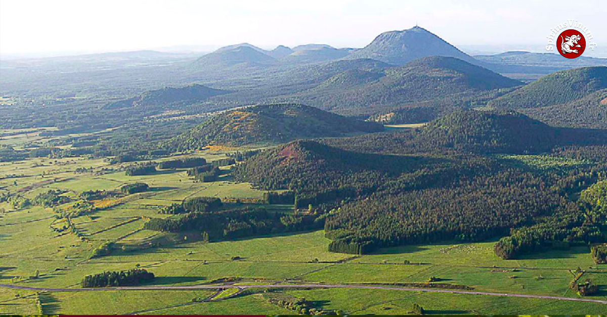Le vignoble d’Auvergne : renaissance d’un terroir volcanique