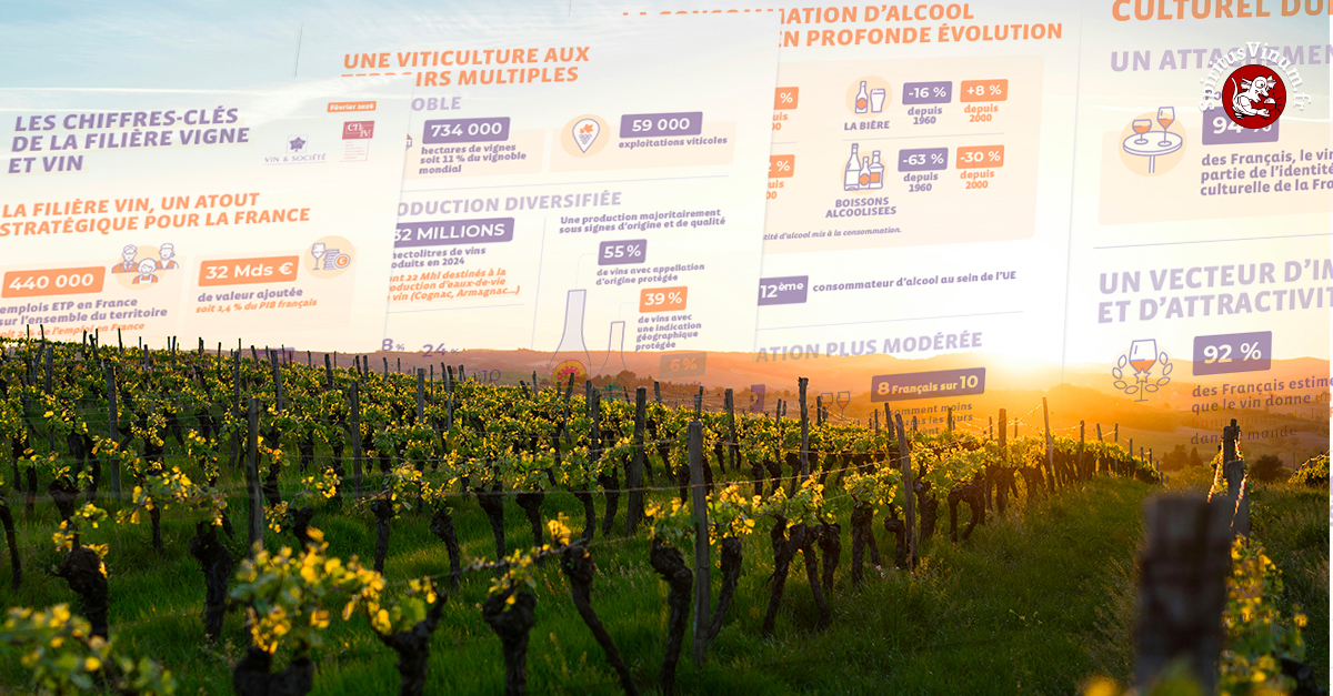 Le vin français : moins de volume, plus de valeur en 2026