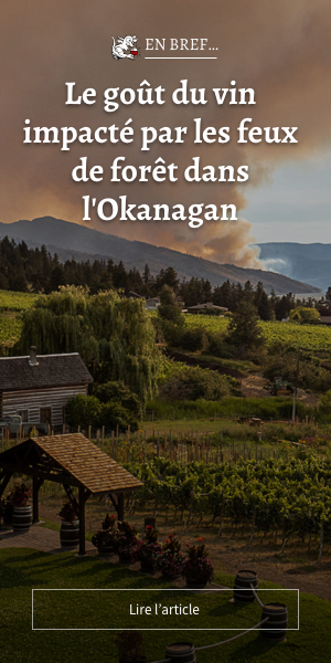 Le goût du vin impacté par les feux de forêt dans l'Okanagan