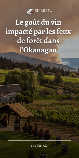Le goût du vin impacté par les feux de forêt dans l'Okanagan