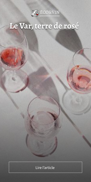 La France dans le marché mondial du rosé.