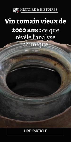Vin romain vieux de 2 000 ans : ce que révèle son analyse chimique