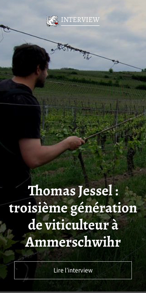 Interview de Thomas Jessel : troisième génération de viticulteur à Ammerschwihr