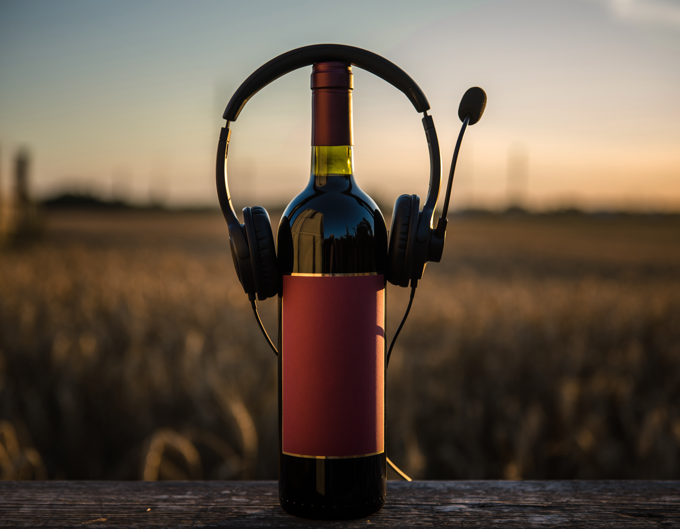 Les Podcast Essentiels pour les Amoureux du Vin